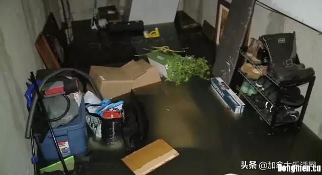 多伦多降雨量破74年记录！5000户断电 居民连夜疏散