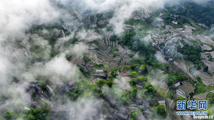 【“飞阅”中国】云雾与梯田相映成景 “大地的指纹”美如画